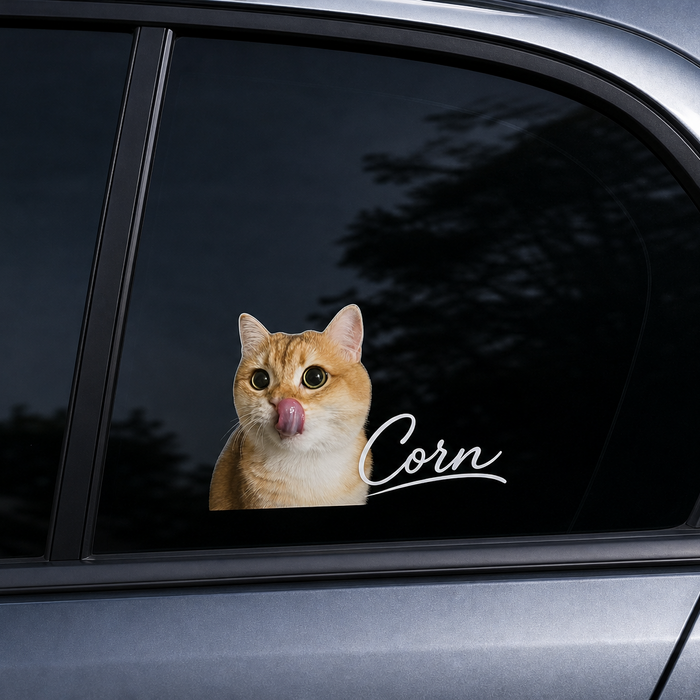 SoulPaw custom pet car sticker on a dark car window with pet name Corn