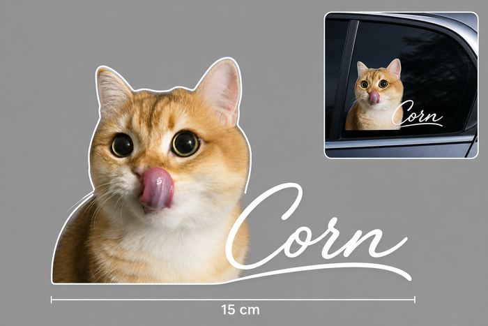 Custom Pet Car Sticker - 15cm Personalized Name Decal