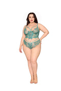 Dreamgirl Cropped Bustier And Thong Set