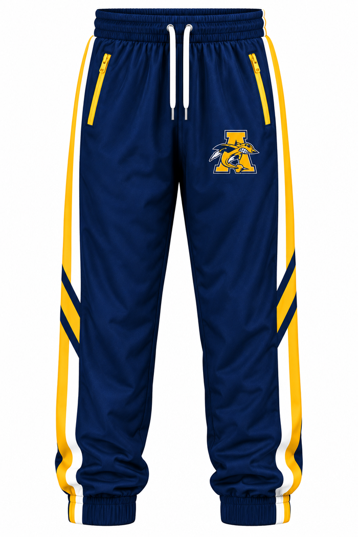 Junior Jets Track Suit Style #2
