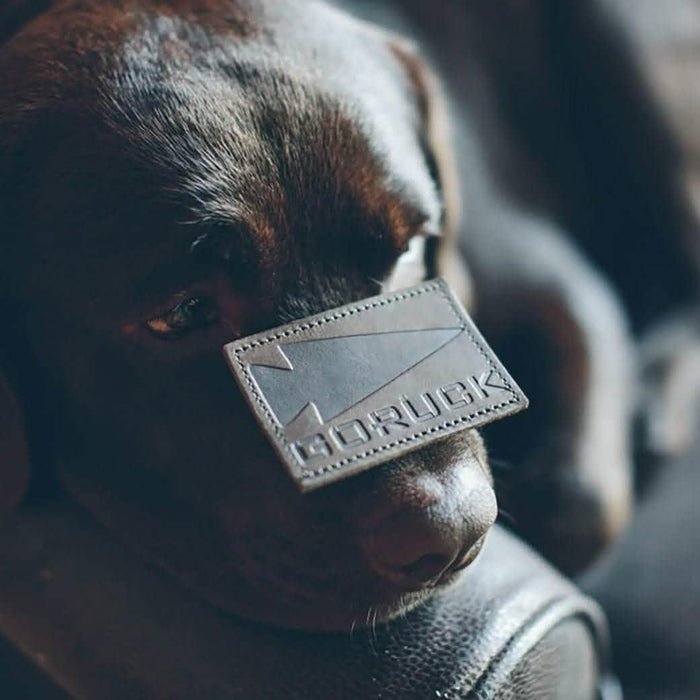 GORUCK patch on a black labrador dog's nose, showcasing rugged rucking gear.