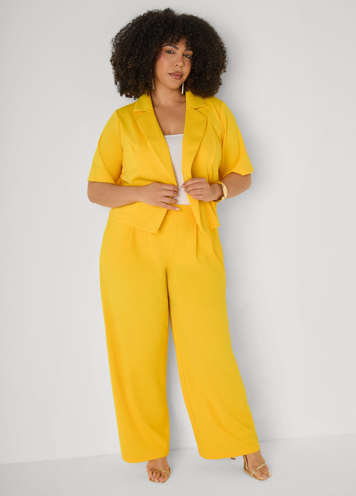 Pleated Wide Leg Pants