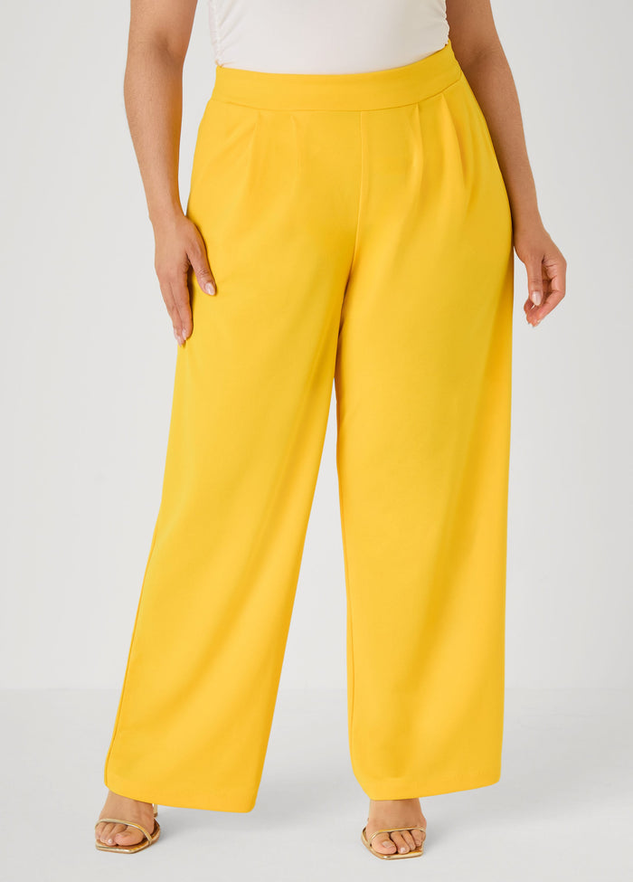 Pleated Wide Leg Pants