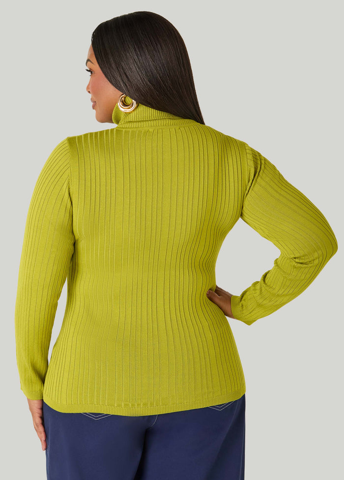 Pullover Turtleneck Sweater