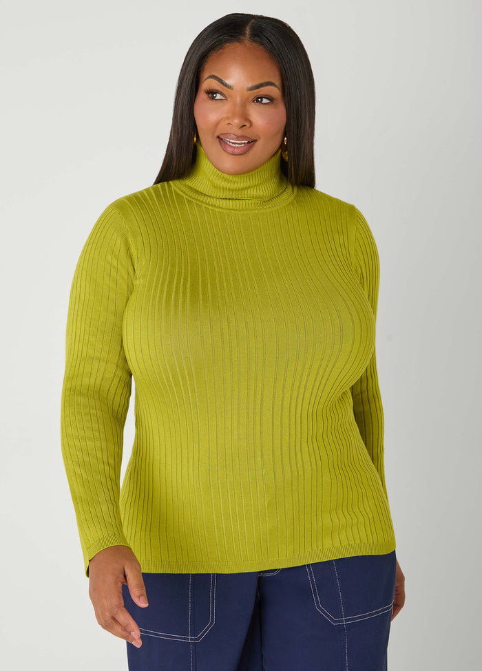 Pullover Turtleneck Sweater