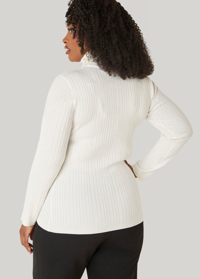 Ribbed Pullover Turtleneck Sweater