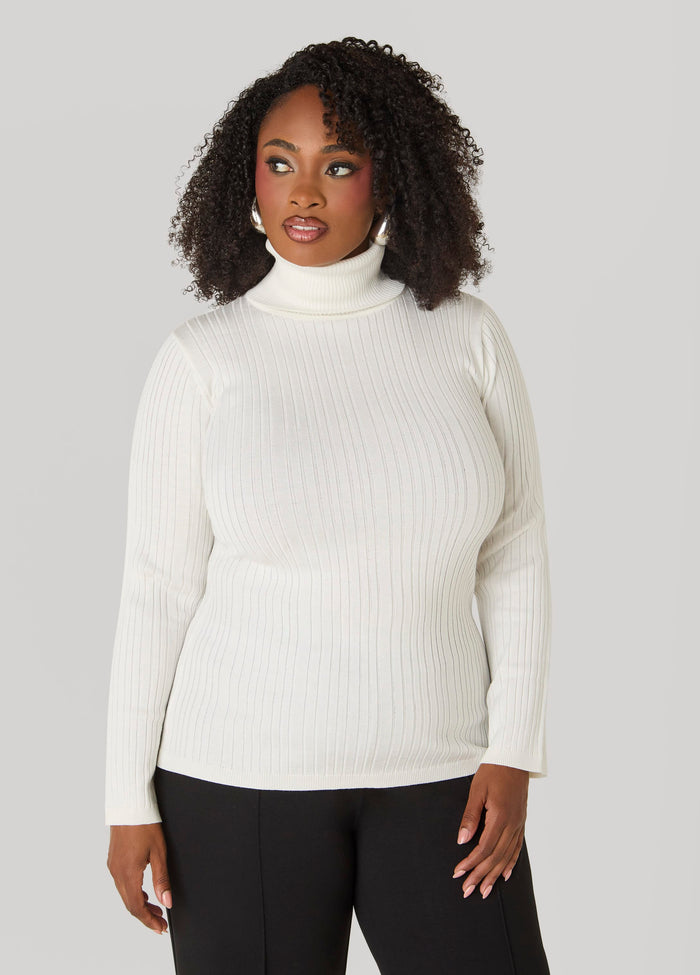 Ribbed Pullover Turtleneck Sweater