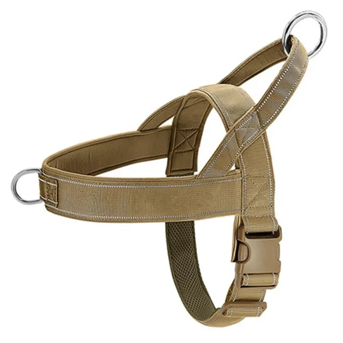 Khaki / L